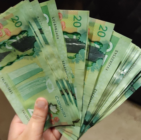 Meet your Posher, Amaile - Picture 1 of 1